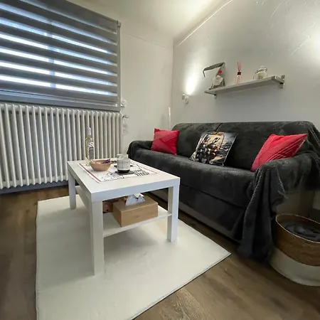 Ferienwohnung Coeur D'Ax Location Ax-les-Thermes Exterior foto